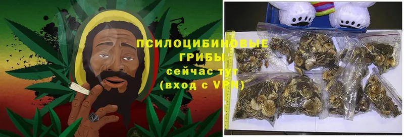 продажа наркотиков  Воркута  Псилоцибиновые грибы GOLDEN TEACHER 